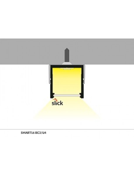 SMART16 Profile Anodized 2 Meters 